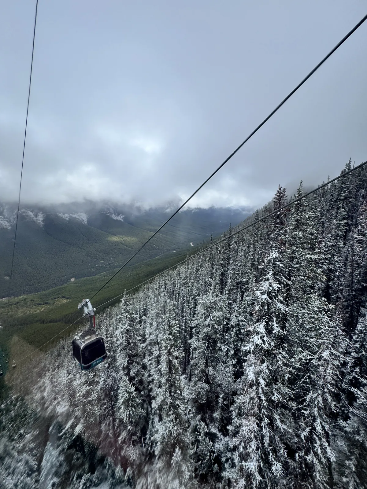 A Banff Gondola cabin on its cable above snow-covered evergreens on Sulphur Mountain, with low clouds over the Bow Valley below