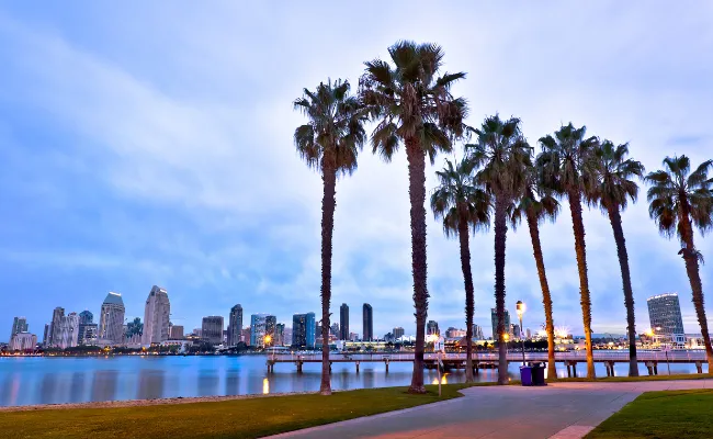 Enjoy beautiful sites like this view of the palm trees in San Diego, California
