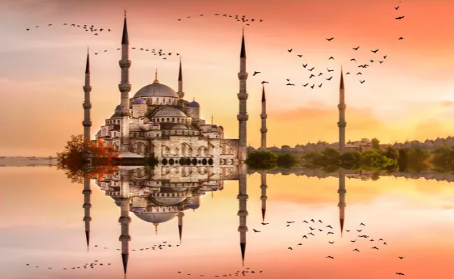 Istanbul Transylvania