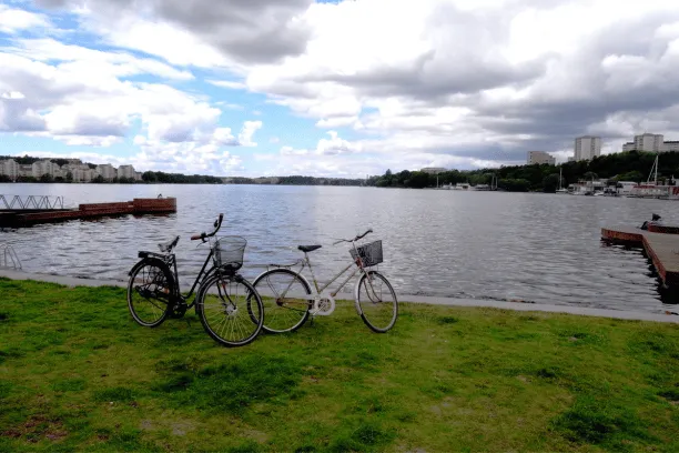 Bikes in the park in Copenhagen