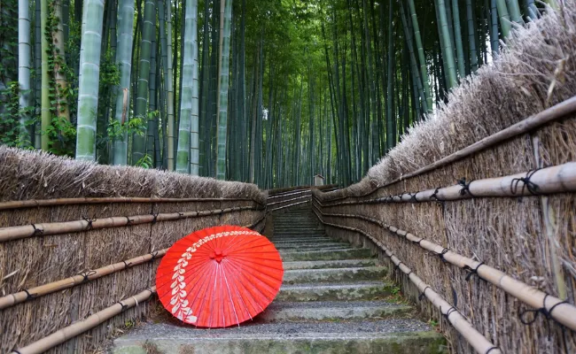 Kyoto Red Umbrella Bridge