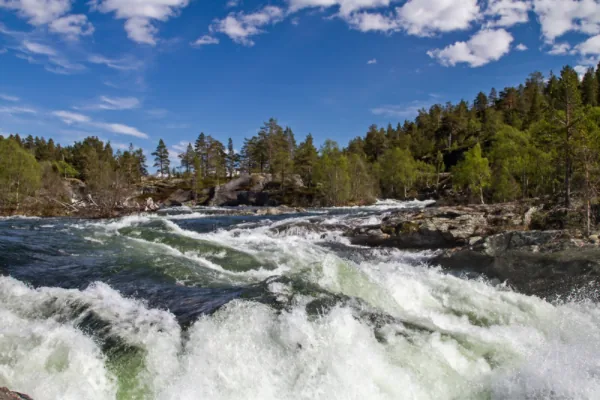 Rauma River