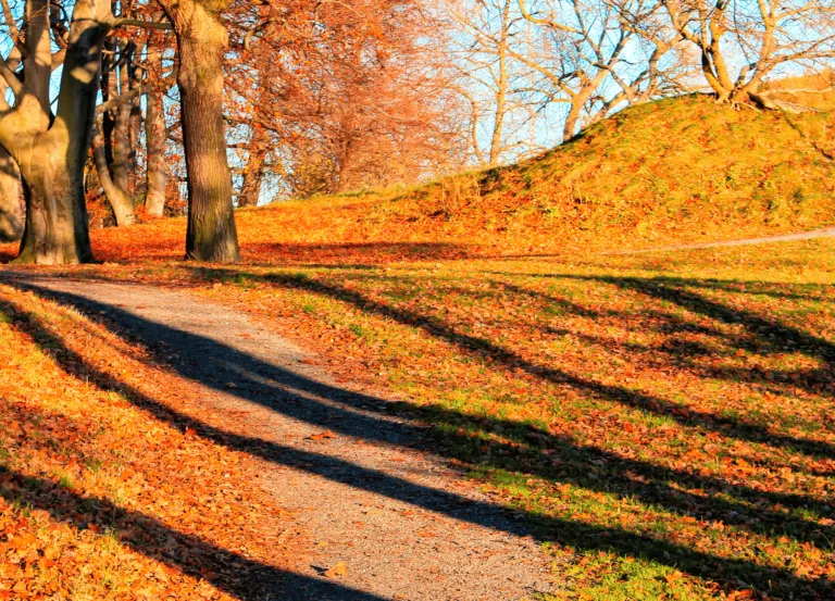 Stockholm Fall