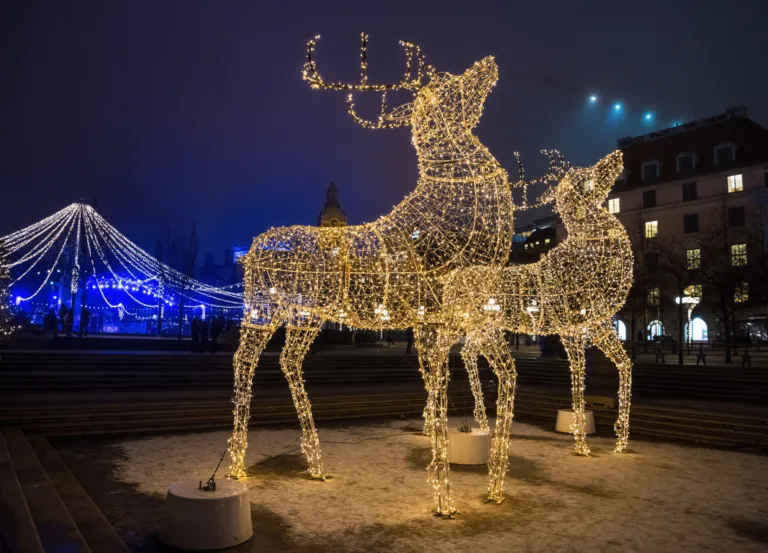 Stockholm Winter