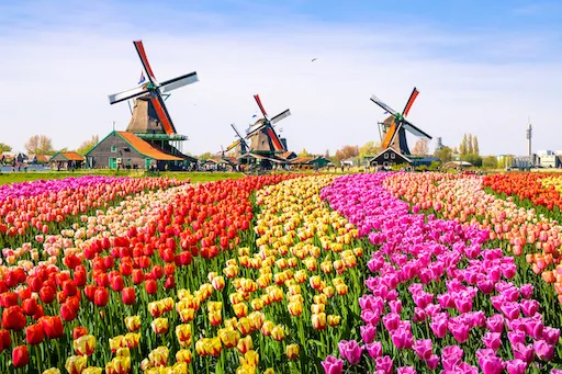 Windmills Fun Facts