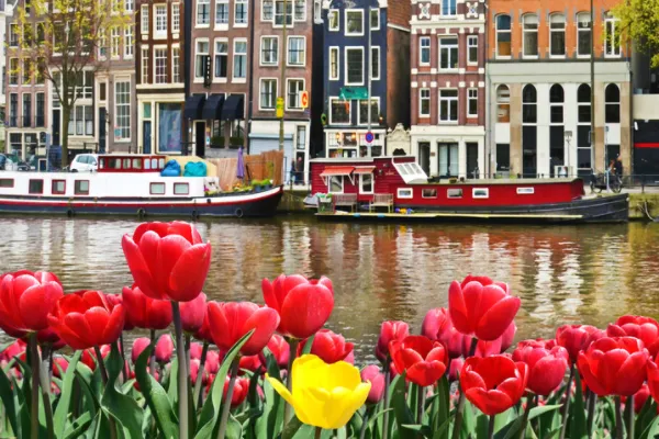 Amsterdam Itinerary