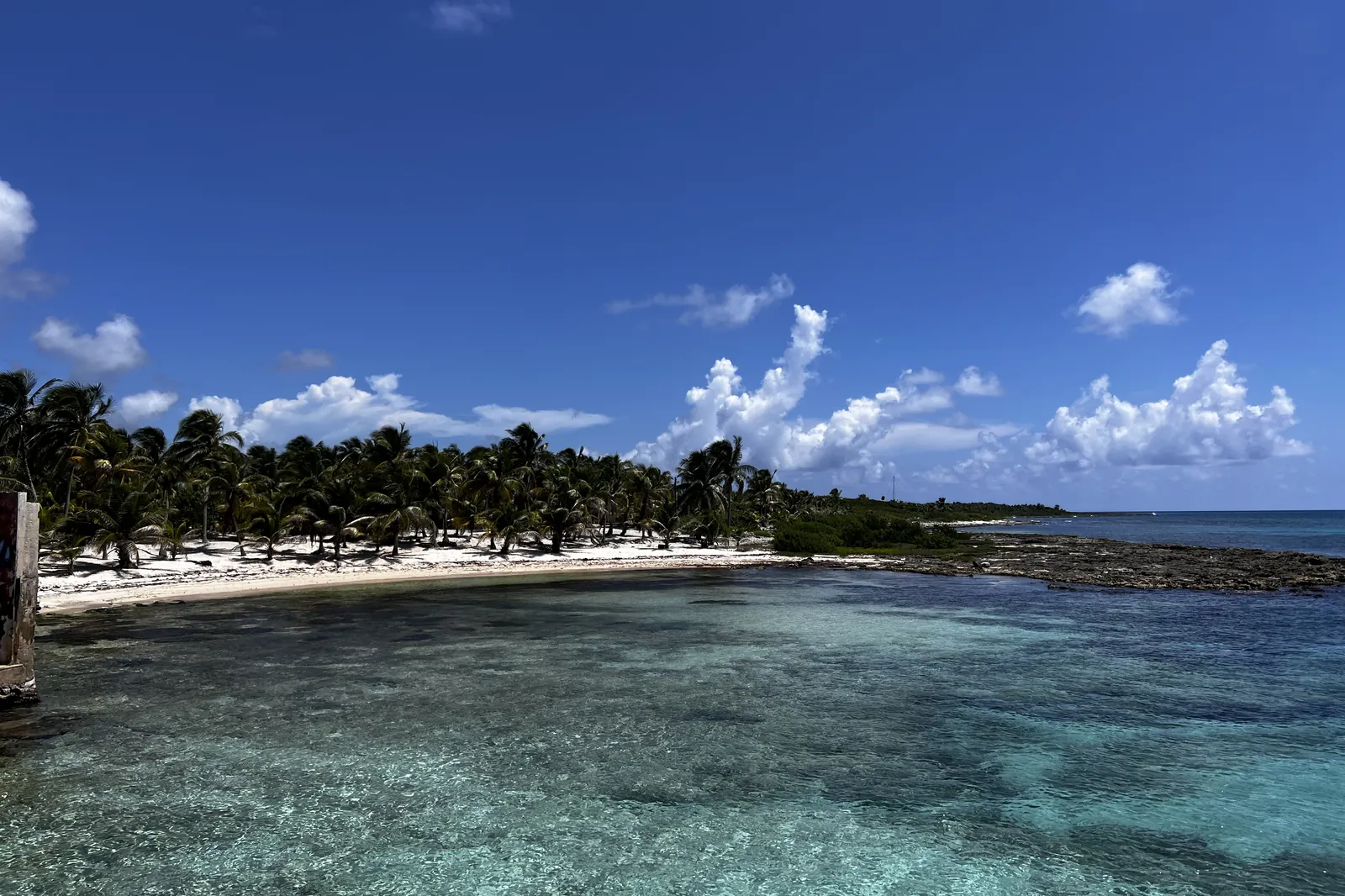 A quiet Caribbean beach with turquoise water and palms under a bright blue sky