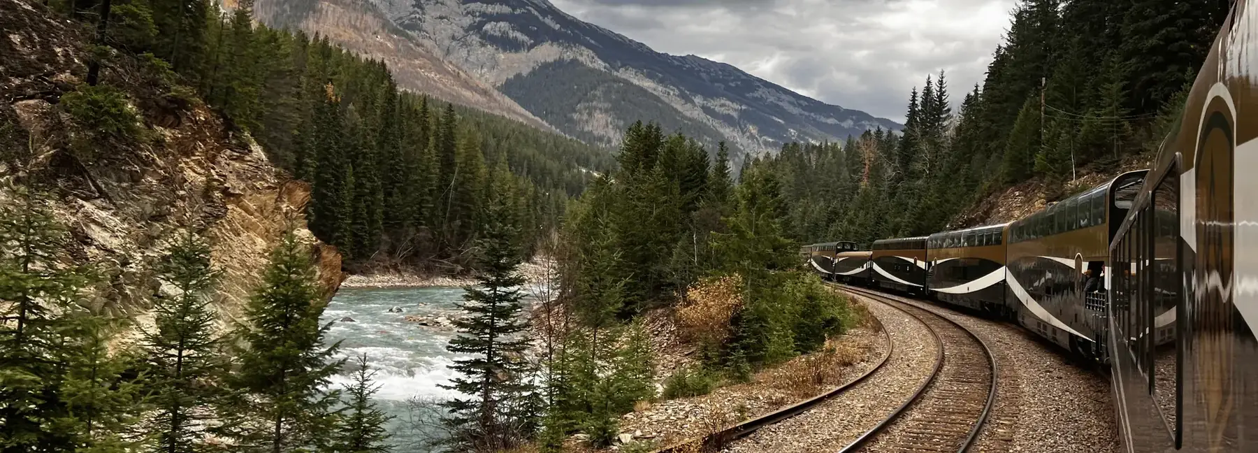 The Rocky Mountaineer train curving along a riverbank through evergreen forest, seen from a car near the back of the train
